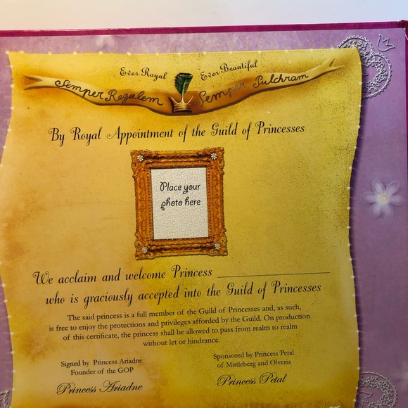 How to Be a Princess by Matthews, Caitlin Hardback Book , Interactive fun - Picture 11 of 12